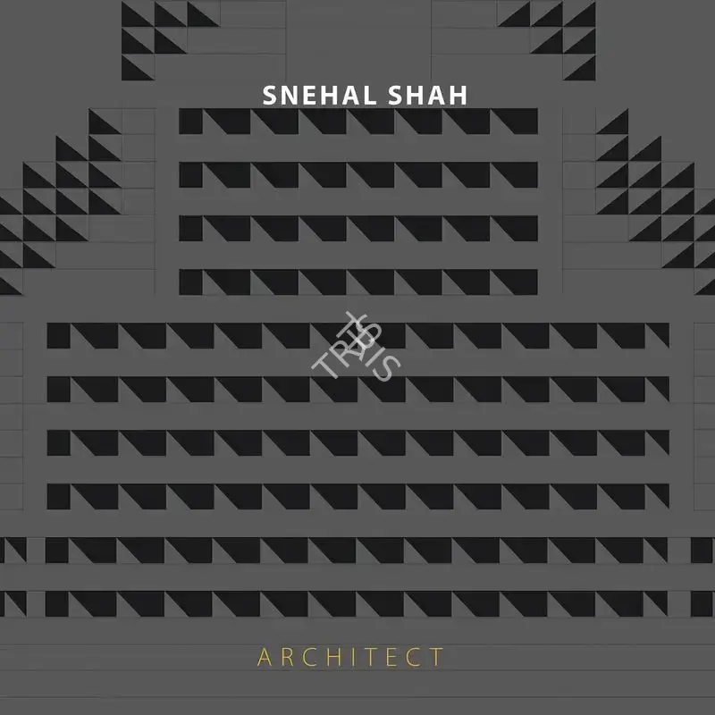 Haig Beck (Editor), Snehal Shah, 2014, Edited Book