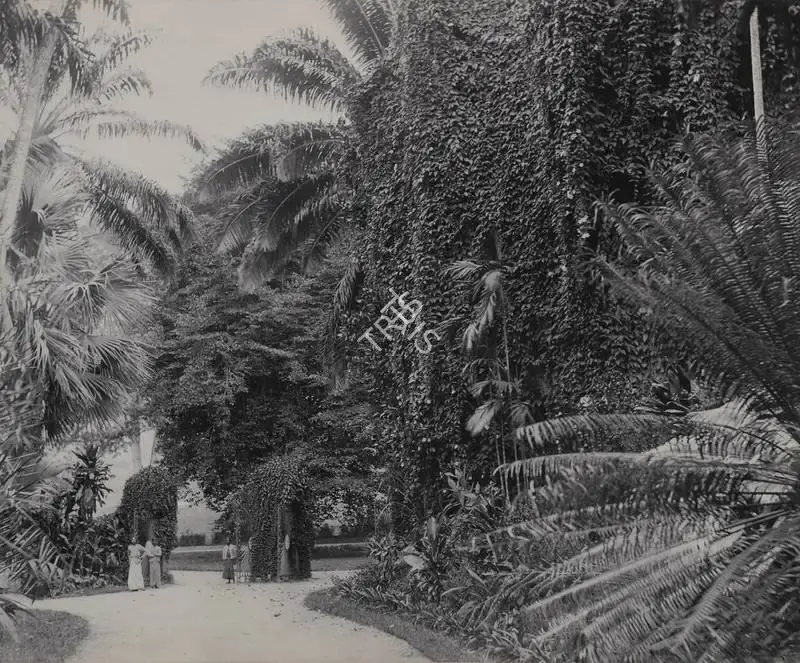 Unknown (Photographer), Untitled, 1901, Antiquarian Photograph