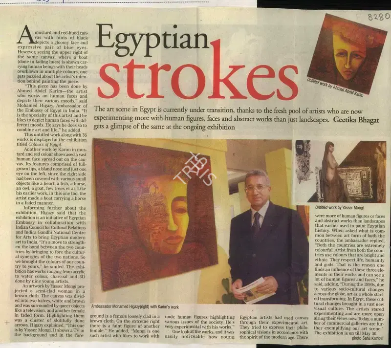 Geetika Bhagat (Reporter), Egyptian Strokes, 2009, Newspaper Clipping