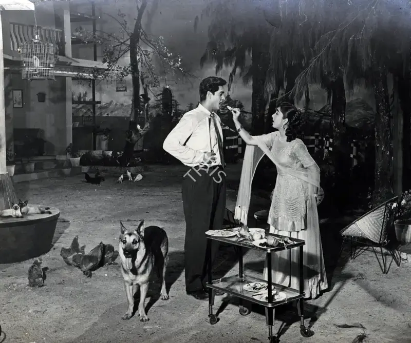 D.K. Dhuri (Cinematographer), Love In Simla, 1960, Photographic Still
