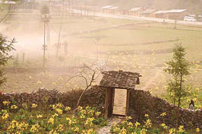 Quang Hai Ngo (Director), Pao's Story, 2005, Photographic Still