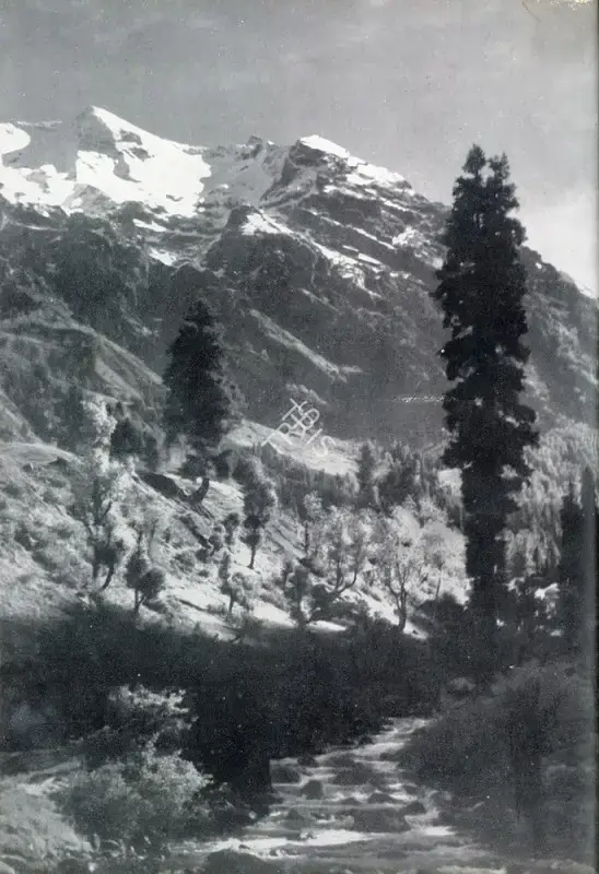 D.R.D. Wadia (Photographer), The Snow Covered Mountains, Contemporary Photograph