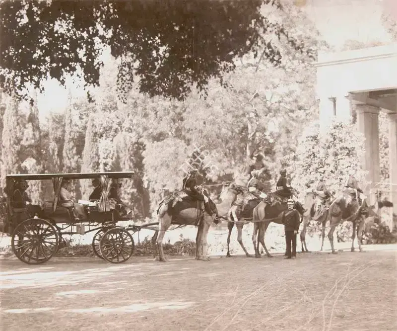 Unknown (Photographer), Untitled, 1864, Antiquarian Photograph