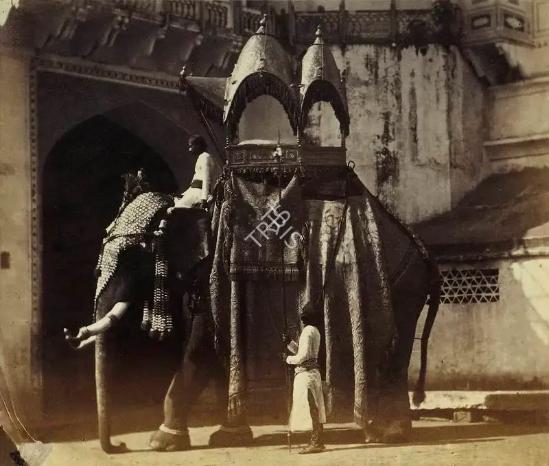 Eugene Clutterbuck Impey (Photographer), The State Elephant of a Native Court, with a howdah, and the trappings usually worn on state occasions, 1861, Antiquarian Photograph