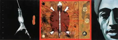Baiju Parthan (Artist), Bungee Into The Night: For J (Momentary Lapse Of Reason), 2002, Painting