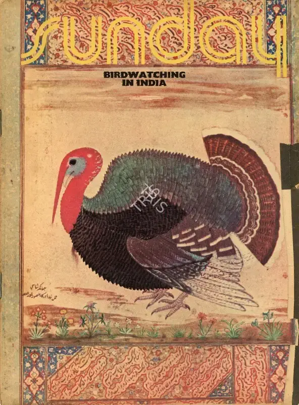 Aveek Sarkar (Editor), Sunday, 1973, Magazine