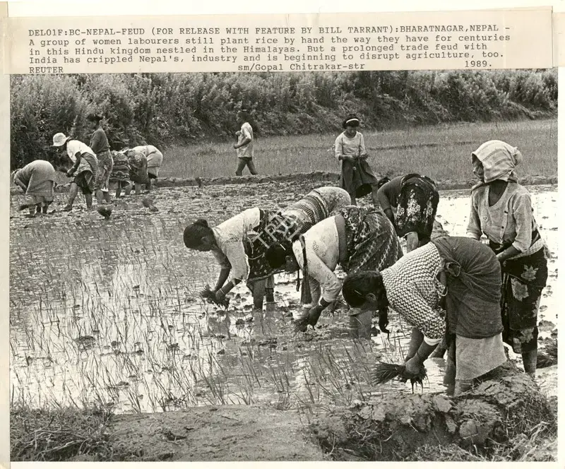 Gopal Chitrakar (Photographer), Del01F: Bc - Nepal - Feud (For Release With Feature By Bill Tarrant): Bharatnagar, Nepal, 1989, Contemporary Photograph