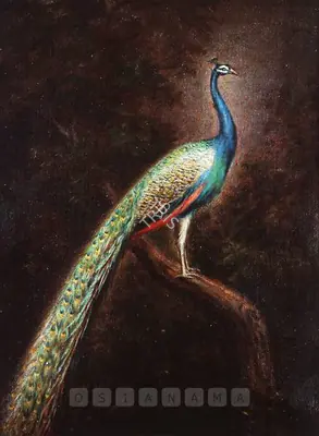 Sunil Kumar Bagchi (Artist), A Peacock, Painting