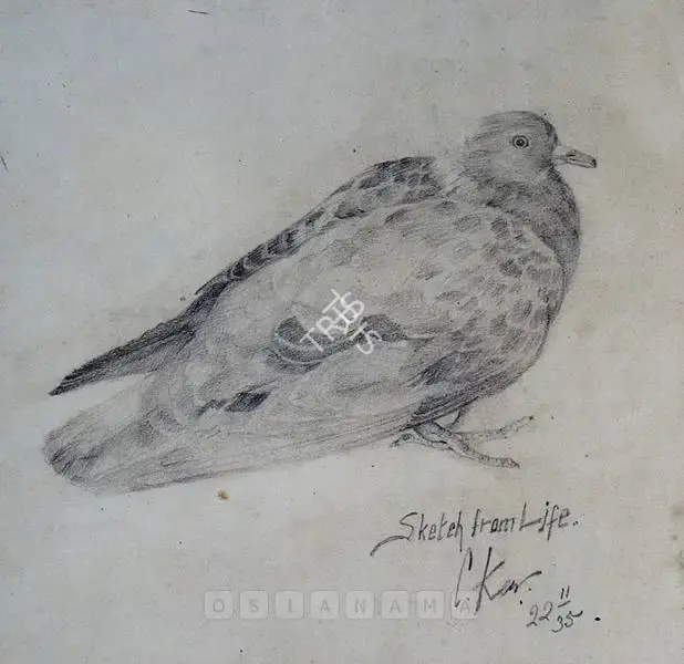 Chintamoni Kar (Artist), Bird, 1935, Drawing