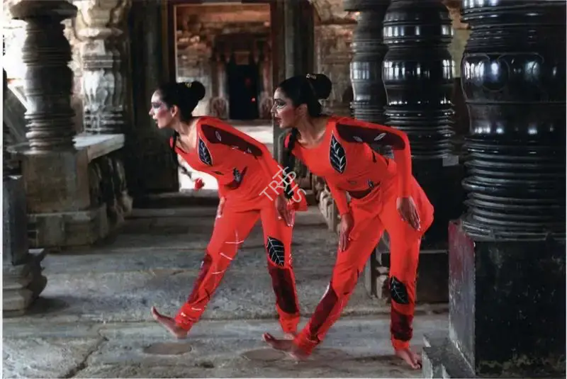 G.S. Bhaskar (Cinematographer), Incompatible, 2009, Photographic Still