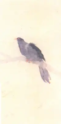 Gaganendranath Tagore (Artist), Bird On Branch, Painting