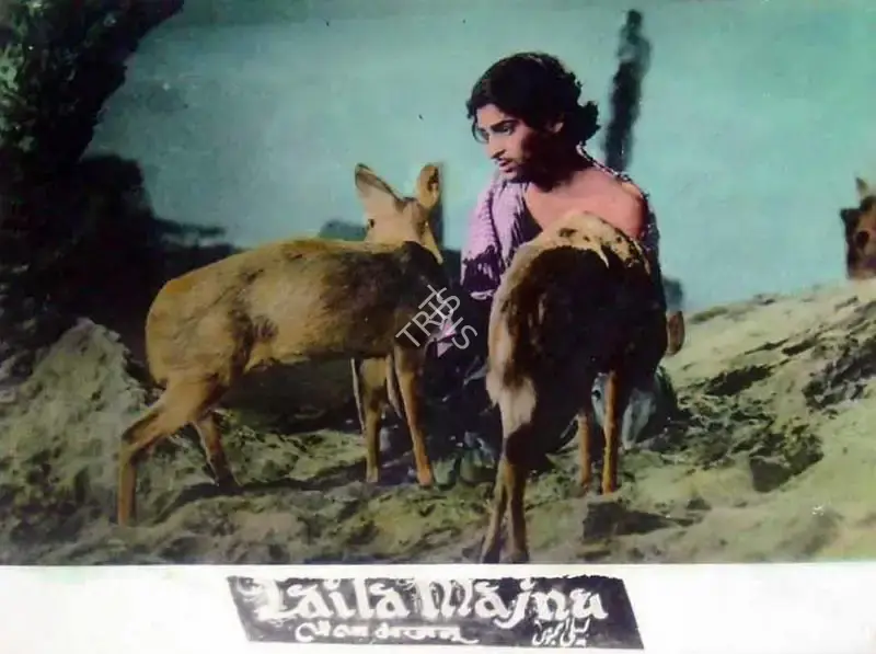 P.N. Arora (Producer), Laila Majnu, 1953, Lobby Card