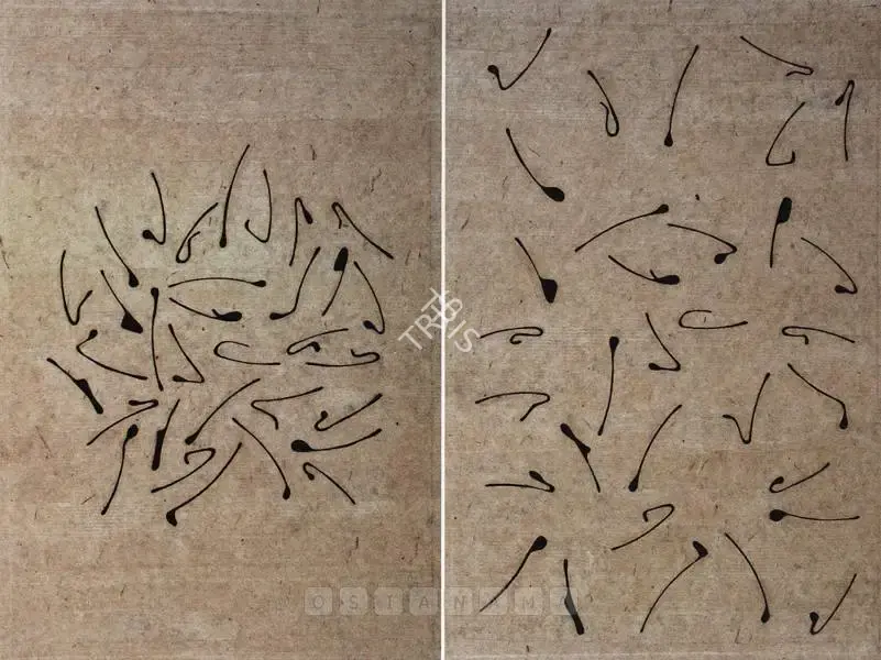 Manisha Parekh (Artist), Notes 1, 2004, Drawing