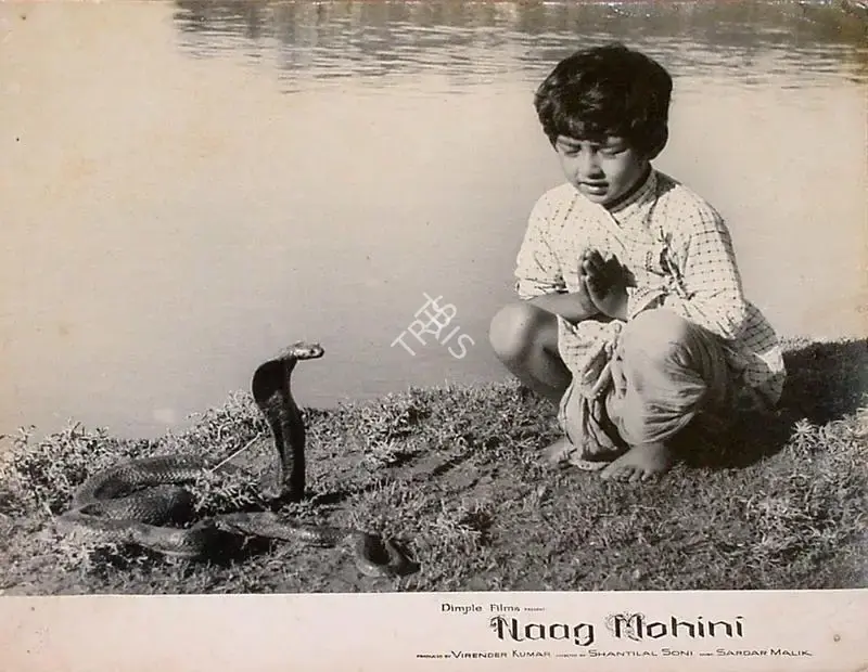Virendra Kumar (Producer), Naag Mohini, 1963, Lobby Card