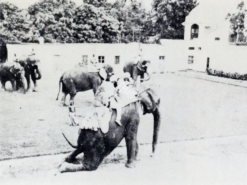Krishen Khanna (Photographer), People and Elephants Posed for the Painting, 1940, Contemporary Photograph
