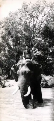 Dhanpat Rai (Producer), Rocket Tarzan, 1963, Photographic Still