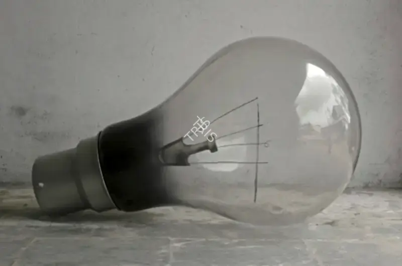 Sunil Gawde (Artist), Defused (From The Blind Bulb Series), 2008, Sculpture