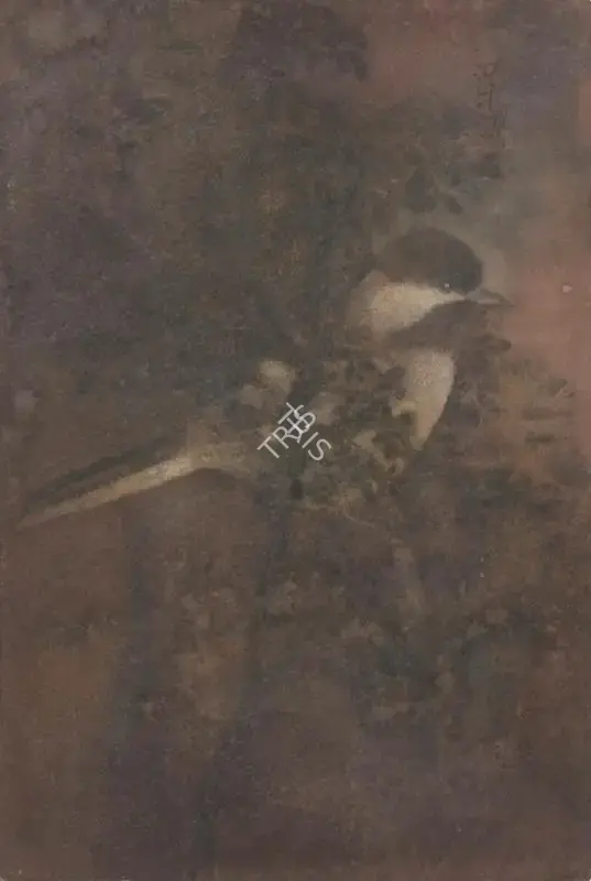 Abanindranath Tagore (Artist), Untitled (Bird on Tree), 1935, Painting