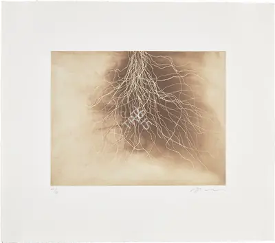 Anish Kapoor (Artist), Fifteen Etchings: Plate 12, 1994, Graphic Art