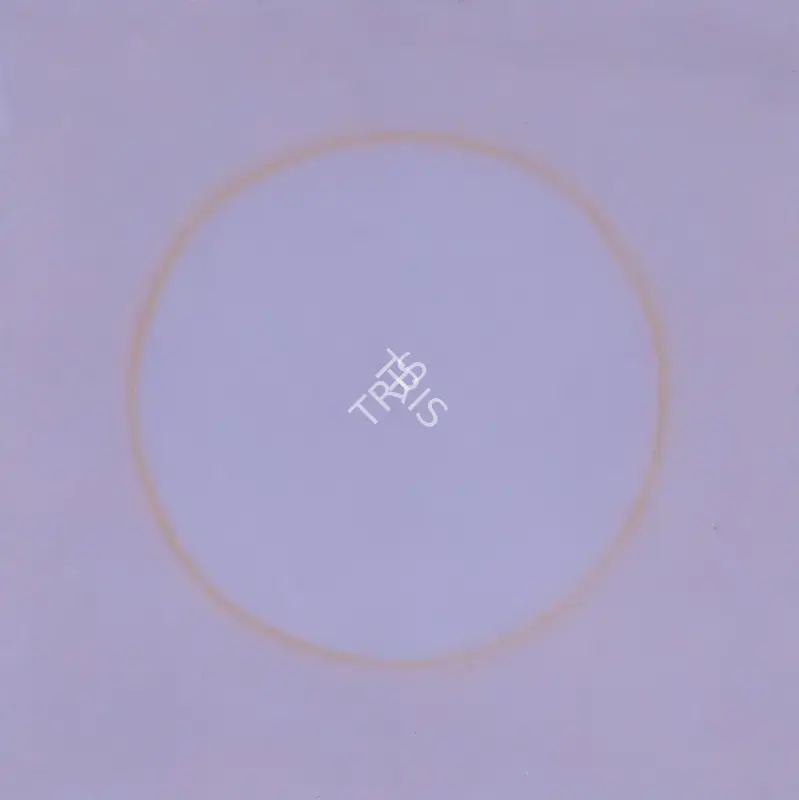 Shobha Broota (Artist), Origin 97, 1992, Painting