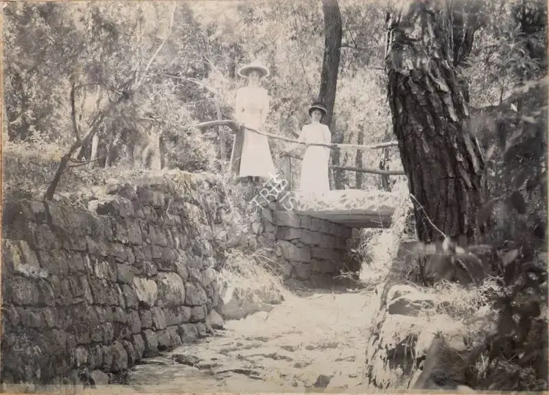 Unknown (Photographer), Garden, 1900, Antiquarian Photograph