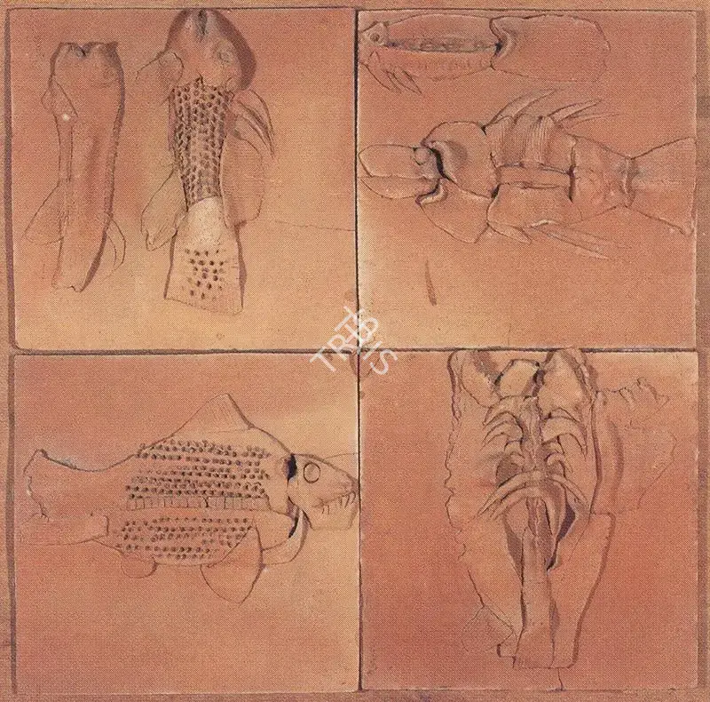 K.G. Subramanyan (Artist), Fishes and Fossils, 1976, Relief Work