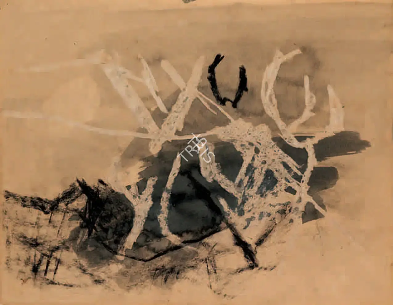 Nasreen Mohamedi (Artist), Untitled, 1965, Painting