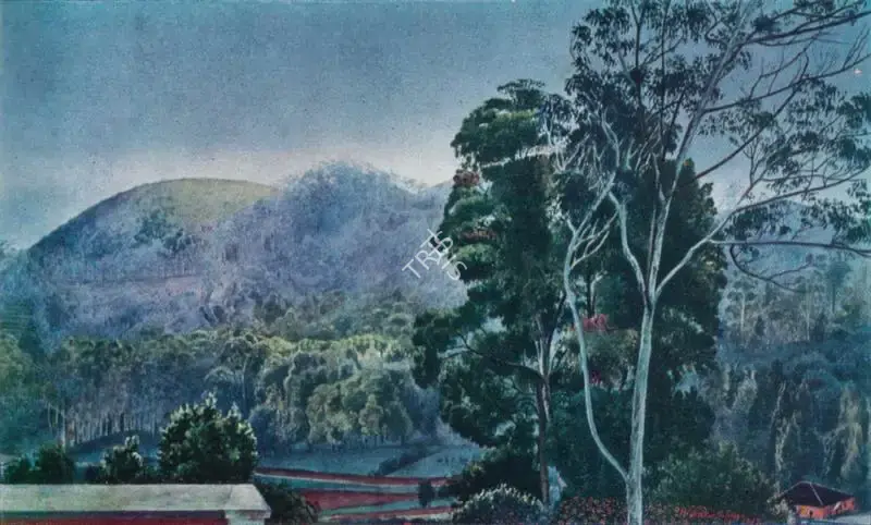 Venkatappa (Artist), Landscape, Ootacamund, 1917, Painting