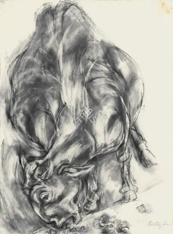 Paritosh Sen (Artist), Goat, 1988, Drawing
