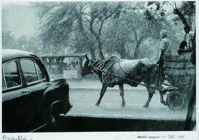 Raghu Rai (Photographer), Monsoon In Delhi, 1985, Contemporary Photograph