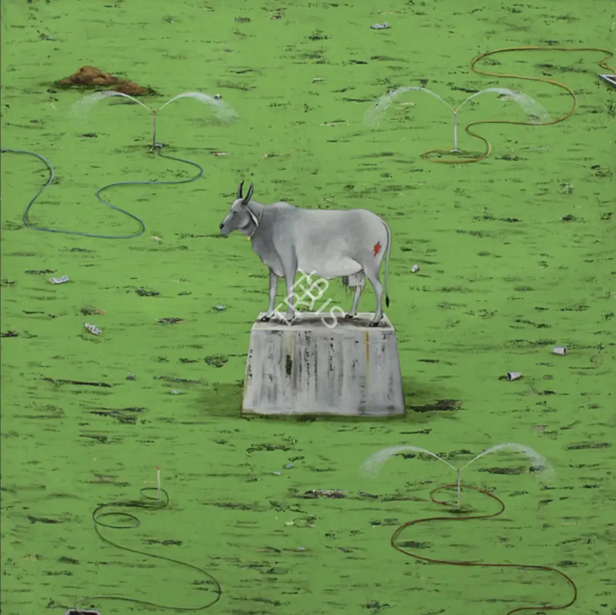 Alok Bal (Artist), Sacred Cow, 2006, Painting