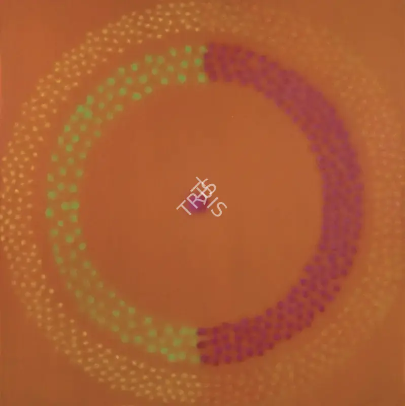 Shobha Broota (Artist), Untitled, 2022, Painting