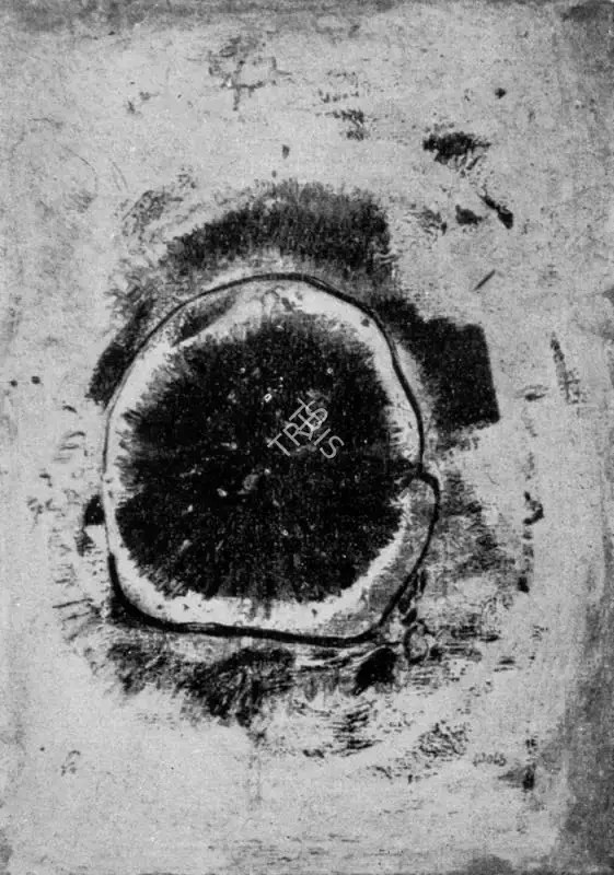 Wols (Artist), Grenade Bleue, 1946, Painting