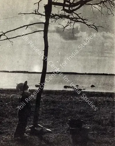 Sven Nykvist (Cinematographer), Nykvist, Sven (Cinematographer), The Final scene in The Sacrifice | Photographic Still, Photographic Still
