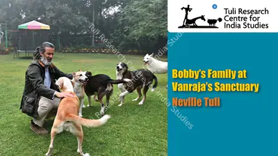 Tuli Research Centre for India Studies (Editor), Bobby's Family at Vanraja's Sanctuary & Hospice: Neville Tuli, 2025, In-house Video