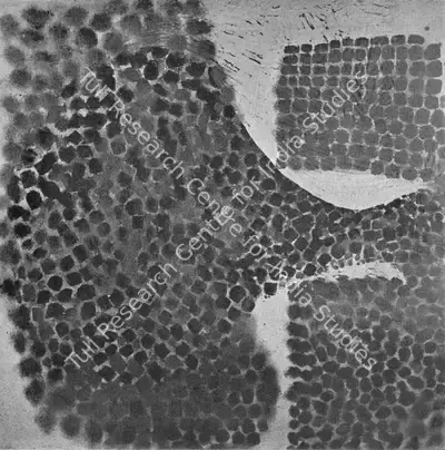 Victor Pasmore (Artist), Black Development, 1963, Painting