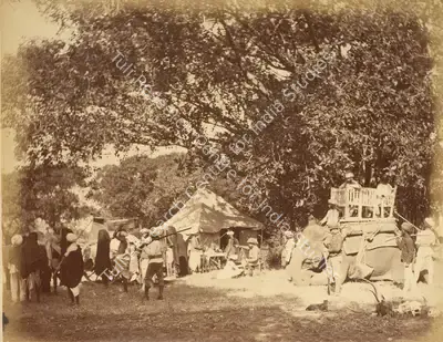 Willoughby Wallace Hooper (Photographer), Tiger Hunt, 1870, Antiquarian Photograph