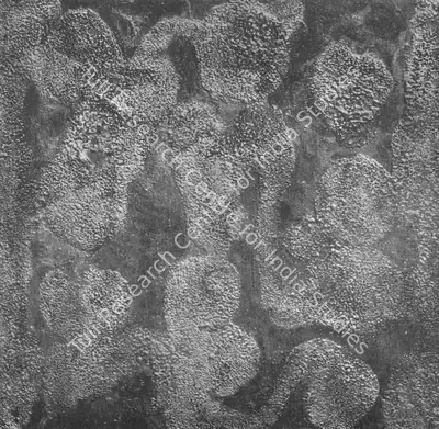 Jyoti Bhatt (Artist), Untitled collage, 1964, Painting