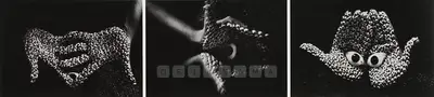 Anita Dube (Artist), Offering, 2000, Print