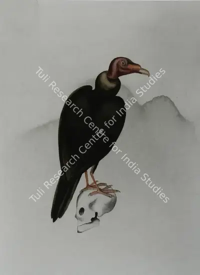 Atul Dodiya (Artist), In Jatayu's Forest - I, 2004, Painting
