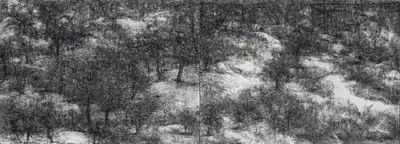 Paramjit Singh (Artist), Untitled, 2005, Painting