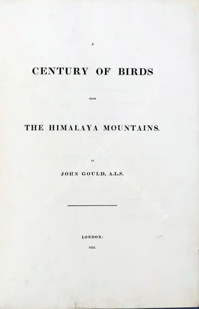 John Gould (Author), A Century of Birds from the Himalaya Mountains, 1832, Authored Antiquarian Book