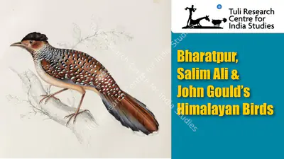 Tuli Research Centre for India Studies (Editor), Bharatpur, Salim Ali & John Gould's Himalayan Birds, 2025, In-house Video