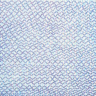 Shobha Broota (Artist), Orchestra 1, 2003, Painting
