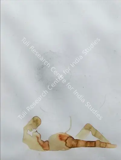 Atul Dodiya (Artist), Rose, 2000, Painting
