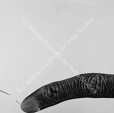 Rameshwar Broota (Artist), Friction, 2008, Painting