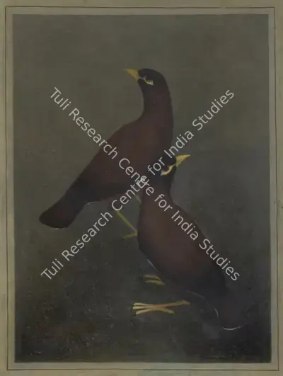 Lalu Prasad Shaw (Artist), Untitled, 1985, Painting