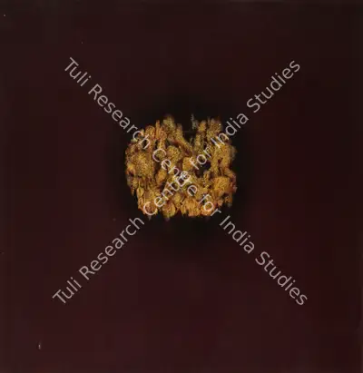 Sohan Qadri (Artist), Hara Continuum, 1970, Painting