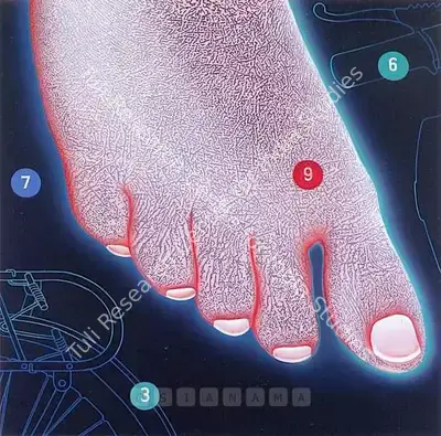 Prasanta Sahu (Artist), Incomplete Investigation, Painting