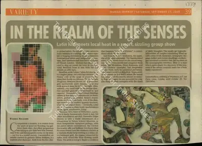 Vishwas Kulkarni (Reporter), In the Realm of the Senses, 2008, Newspaper Clipping